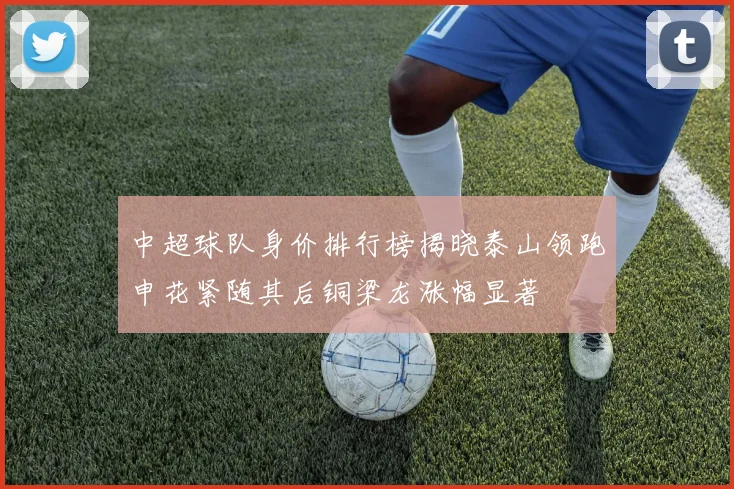 中超球队身价排行榜揭晓泰山领跑申花紧随其后铜梁龙涨幅显著