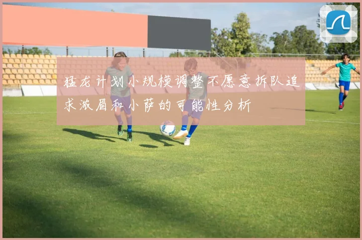 猛龙计划小规模调整不愿意拆队追求浓眉和小萨的可能性分析